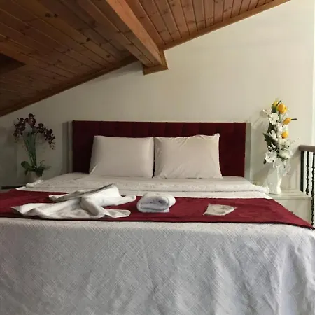 Hotel Taksim Sem House 2*